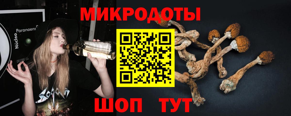Галлюциногенные грибы Magic Shrooms  Вход с VPN  Галлюциногенные грибы прущие грибы  Губкинский 